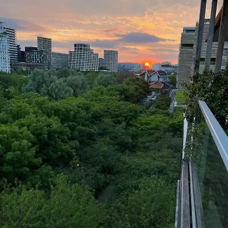 With Terrace On Park